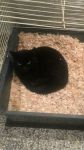 Filename=FB_IMG_1483301255761.jpg
Filesize=60KiB
Dimensions=540x960
Date added=Jan 01, 2017 FB_IMG_1483301255761.jpg