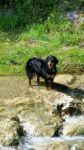 Filename=FB_IMG_1483974336313.jpg
Filesize=149KiB
Dimensions=675x1200
Date added=Jan 09, 2017 FB_IMG_1483974336313.jpg
