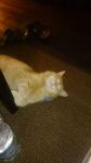 Filename=FB_IMG_1485964720356.jpg
Filesize=95KiB
Dimensions=675x1200
Date added=Feb 01, 2017 FB_IMG_1485964720356.jpg