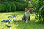 Filename=59B37D88-2027-4E4C-B122-5E34948E7F5B.jpeg
Filesize=224KiB
Dimensions=1200x800
Date added=May 11, 2018 59B37D88-2027-4E4C-B122-5E34948E7F5B.jpeg