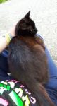 Filename=FB_IMG_1529863730787.jpg
Filesize=30KiB
Dimensions=416x765
Date added=Jun 24, 2018 FB_IMG_1529863730787.jpg