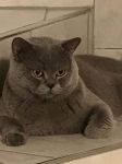 Filename=FB_IMG_1530214837539.jpg
Filesize=47KiB
Dimensions=720x960
Date added=Jun 28, 2018 FB_IMG_1530214837539.jpg