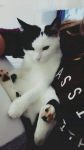 Filename=FB_IMG_1531158145904.jpg
Filesize=24KiB
Dimensions=540x960
Date added=Jul 09, 2018 FB_IMG_1531158145904.jpg